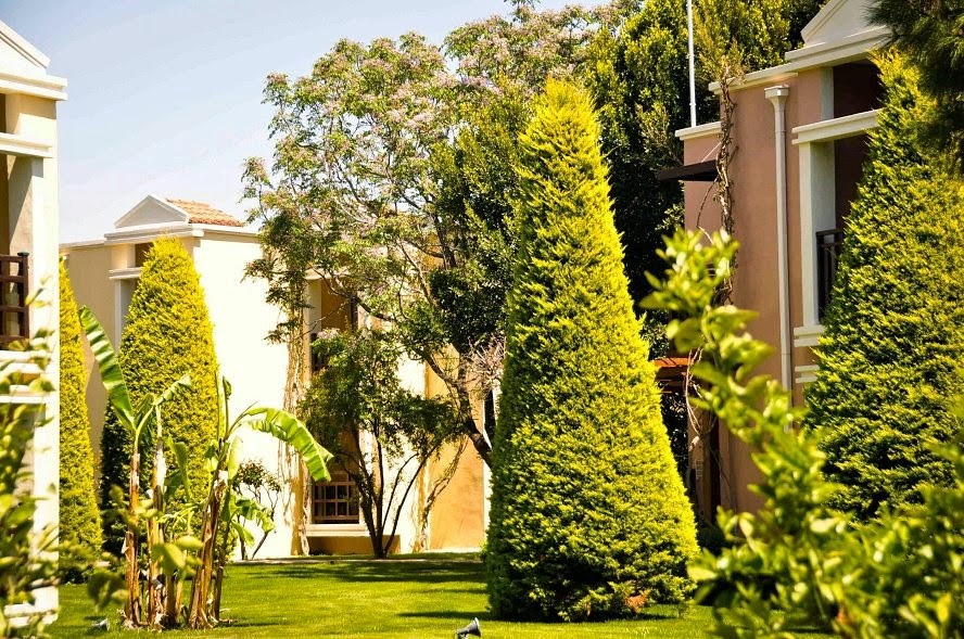 imagini hotel CLUB ASTERIA BELEK